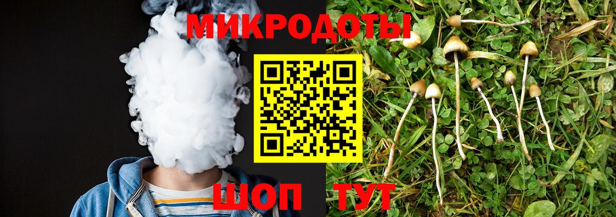 Псилоцибиновые грибы GOLDEN TEACHER  Вход с VPN  Сочи 